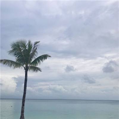 僵尸植物大作战手机版下载